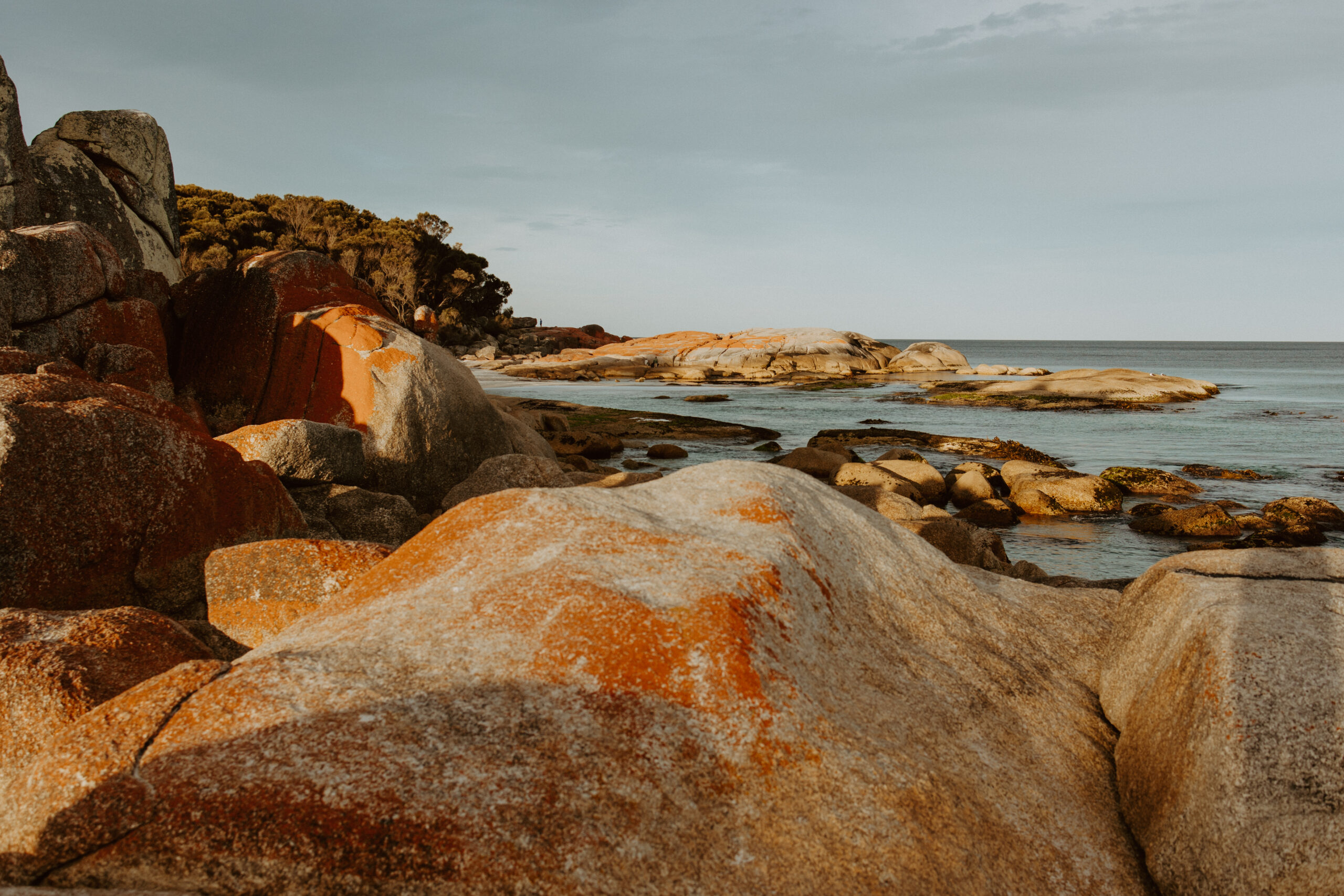 Bay of Fires elopement