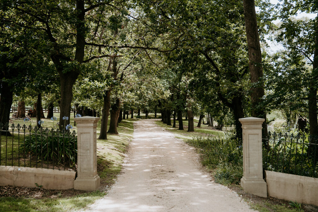 Mewburn Park Homestead driveway